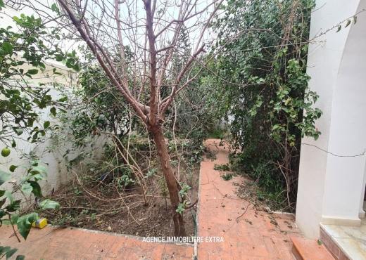 Vente Villa à Hammamet