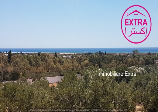 Terrain a vendre à dharoufa