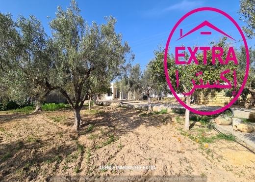 VENTE FERME CLÔTURÉ À DAROUFA