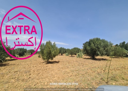 Campagne à el hwaria de Nabeul