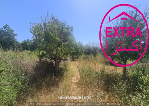 Vente campagne à Nabeul