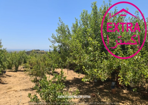 Campagne avec maison a Hwaria de Nabeul - image 4
