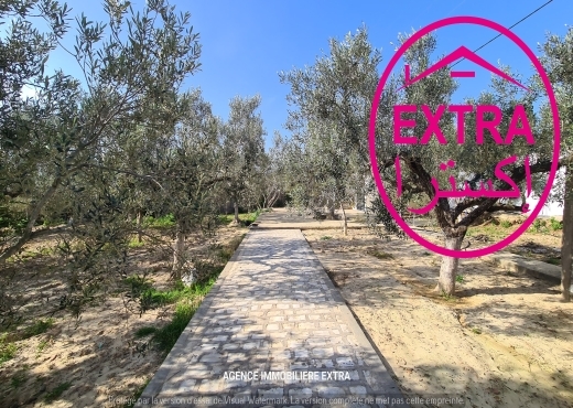 VENTE FERME CLÔTURÉ À DAROUFA