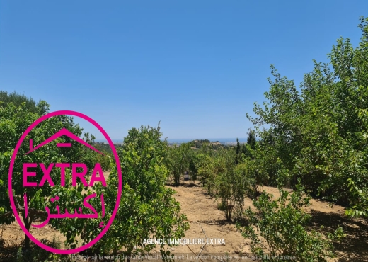 Vente Campagne a Hwaria de Nabeul - image 2