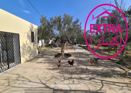 VENTE FERME CLÔTURÉ À DAROUFA - image 2