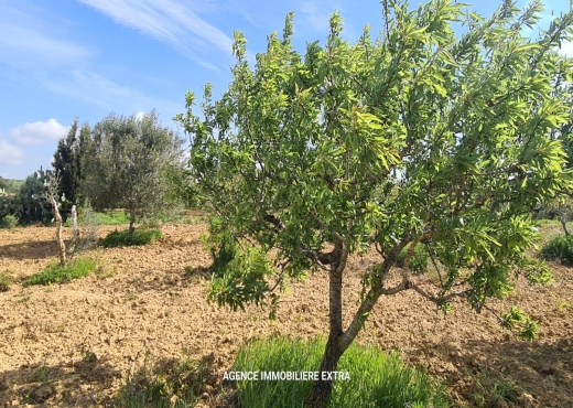 campagne a boushem - image 2