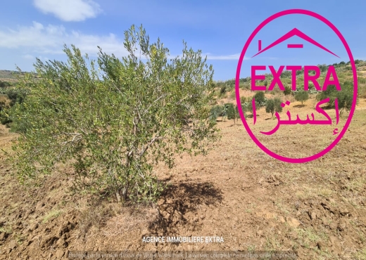 Campagne à el hwaria de Nabeul