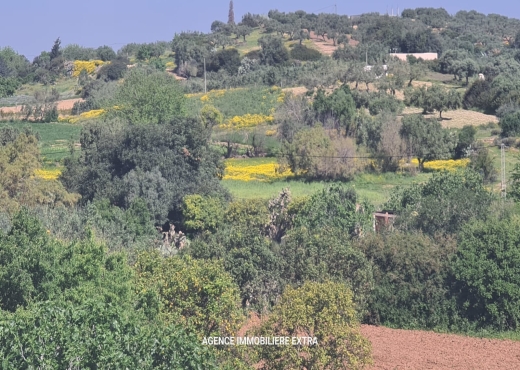Terrain à vendre à Somâa – Lotissement approuvé