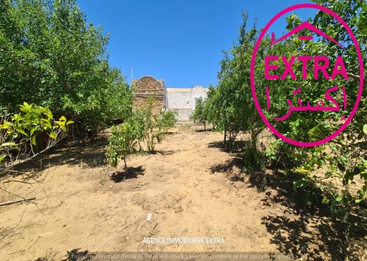 Vente Campagne a Hwaria de Nabeul - image 4