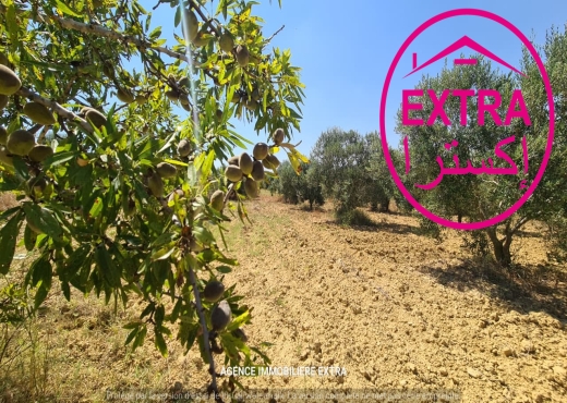 Vente Campagne a boushem - image 4